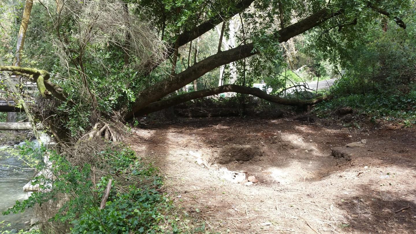 15851 Stevens Canyon Road Cupertino, CA 95014 - Photo 5 of 12 a view of tree