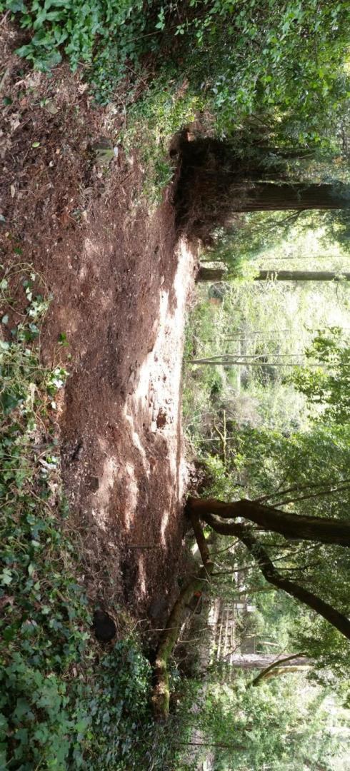 15851 Stevens Canyon Road Cupertino, CA 95014 - Photo 10 of 12 a view of lake