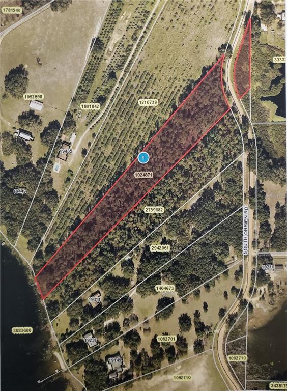 South Obrien Road Groveland, FL 34736 - Photo 2 of 4