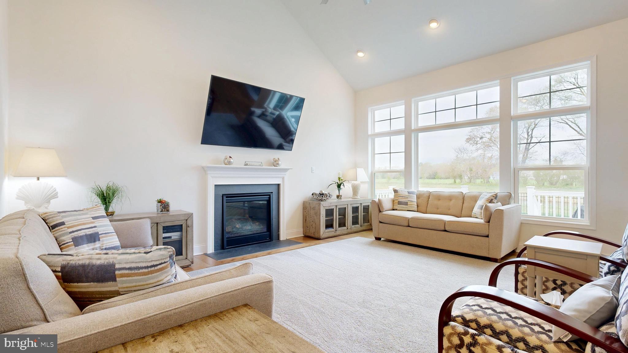 33528 Downing Circle Lewes, DE 19958 - Photo 28 of 72 a living room with furniture fireplace and flat screen tv
