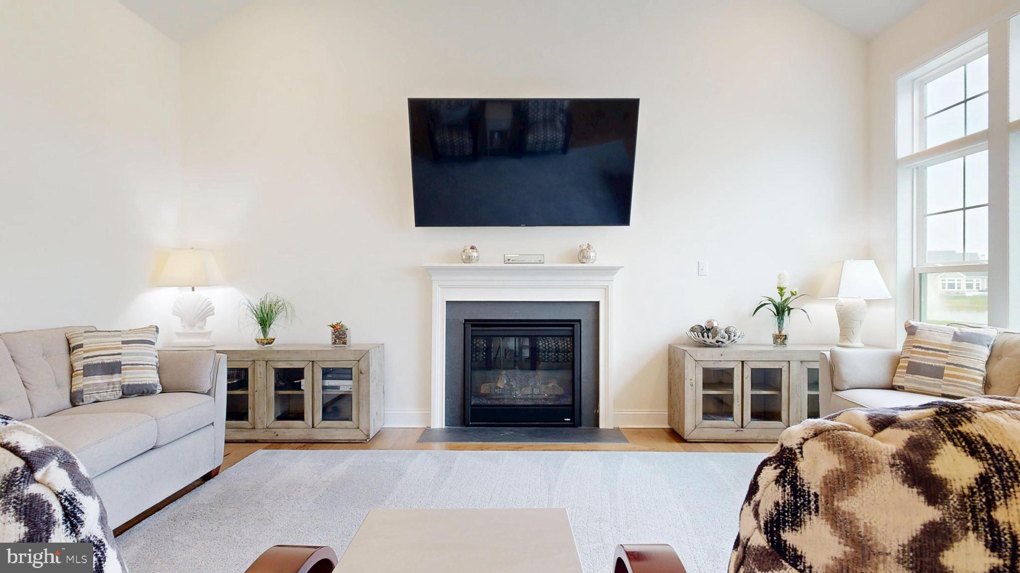 33528 Downing Circle Lewes, DE 19958 - Photo 29 of 72 a living room with furniture a flat screen tv and a fireplace