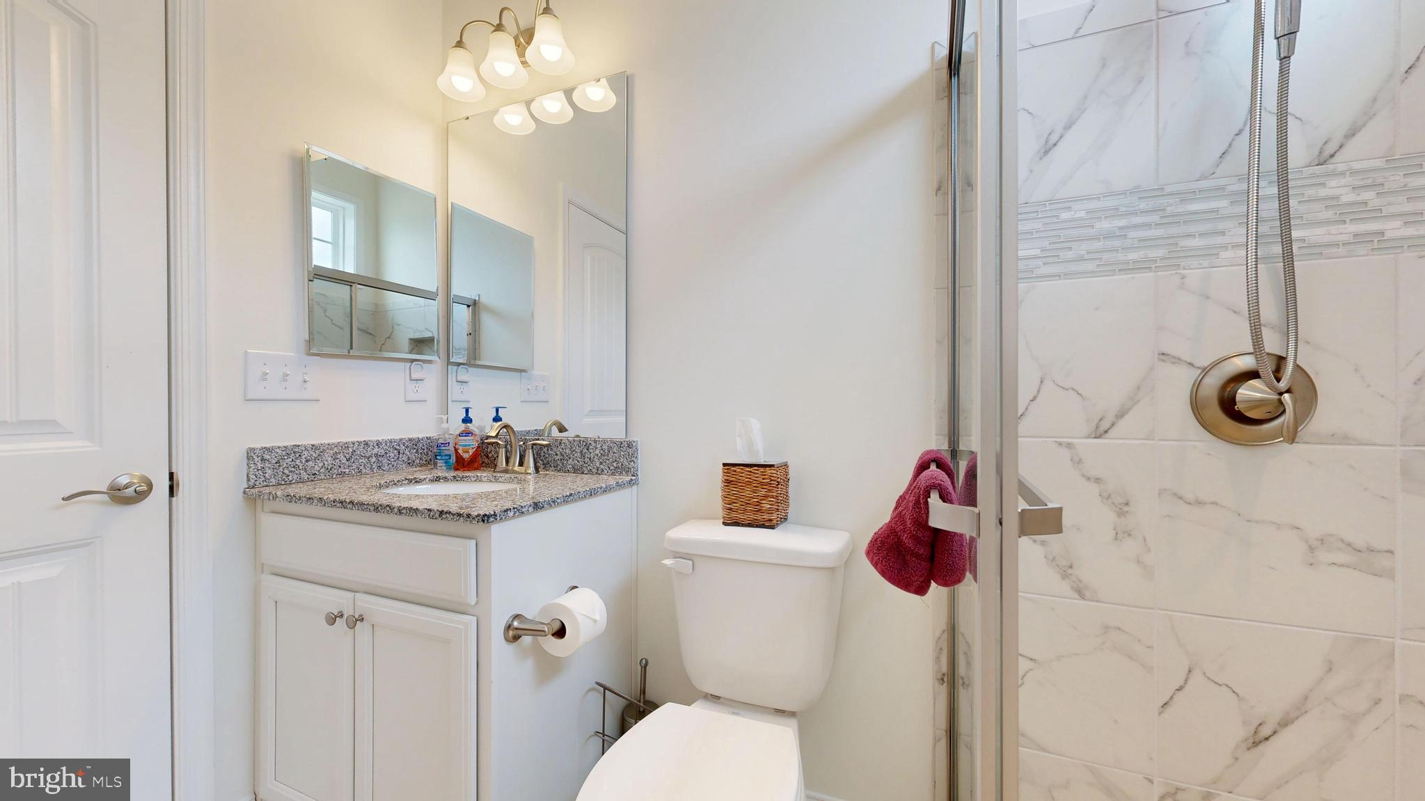 33528 Downing Circle Lewes, DE 19958 - Photo 57 of 72 a bathroom with a granite countertop sink a toilet and mirror