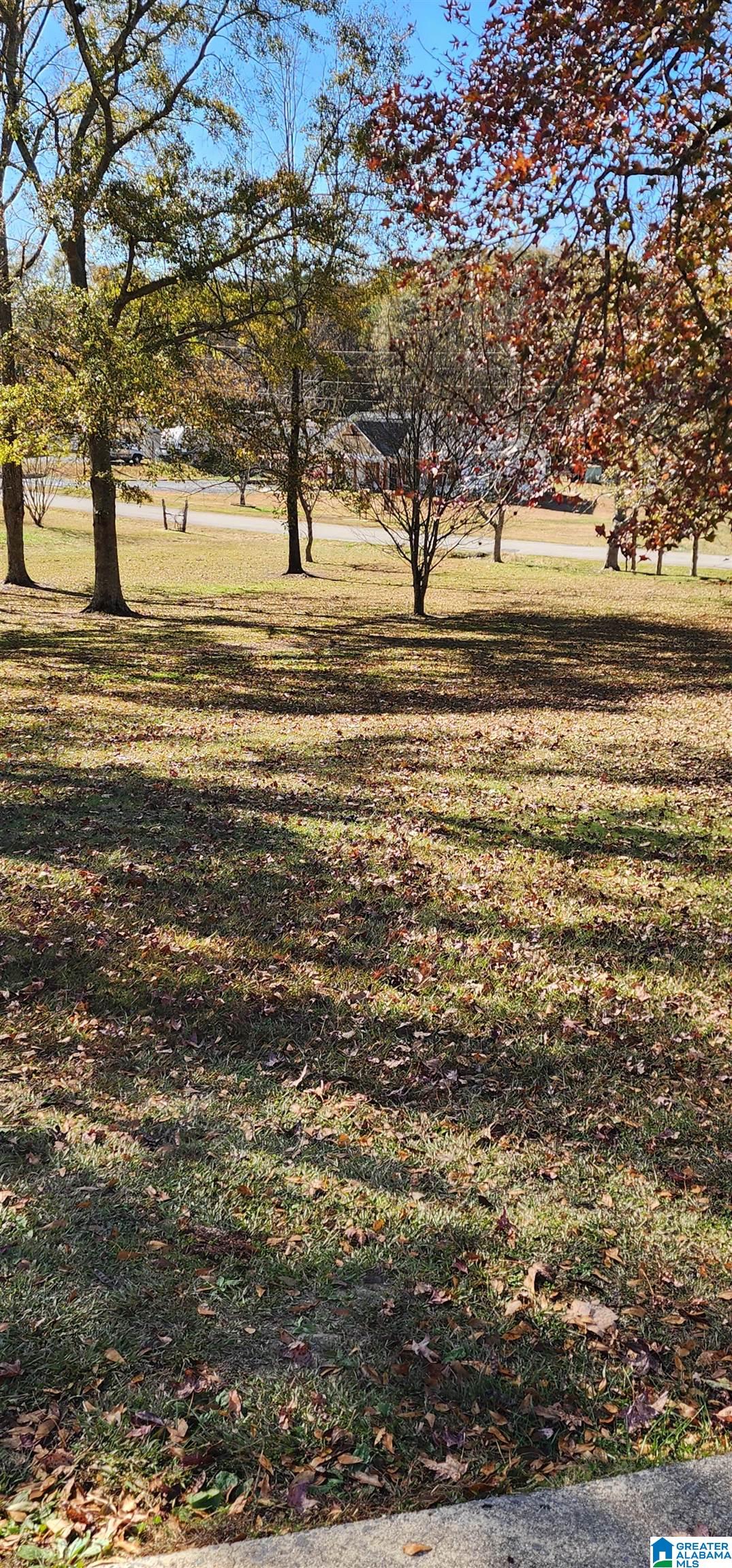 352 Kudzu Road Oneonta, AL 35121 - Photo 43 of 57