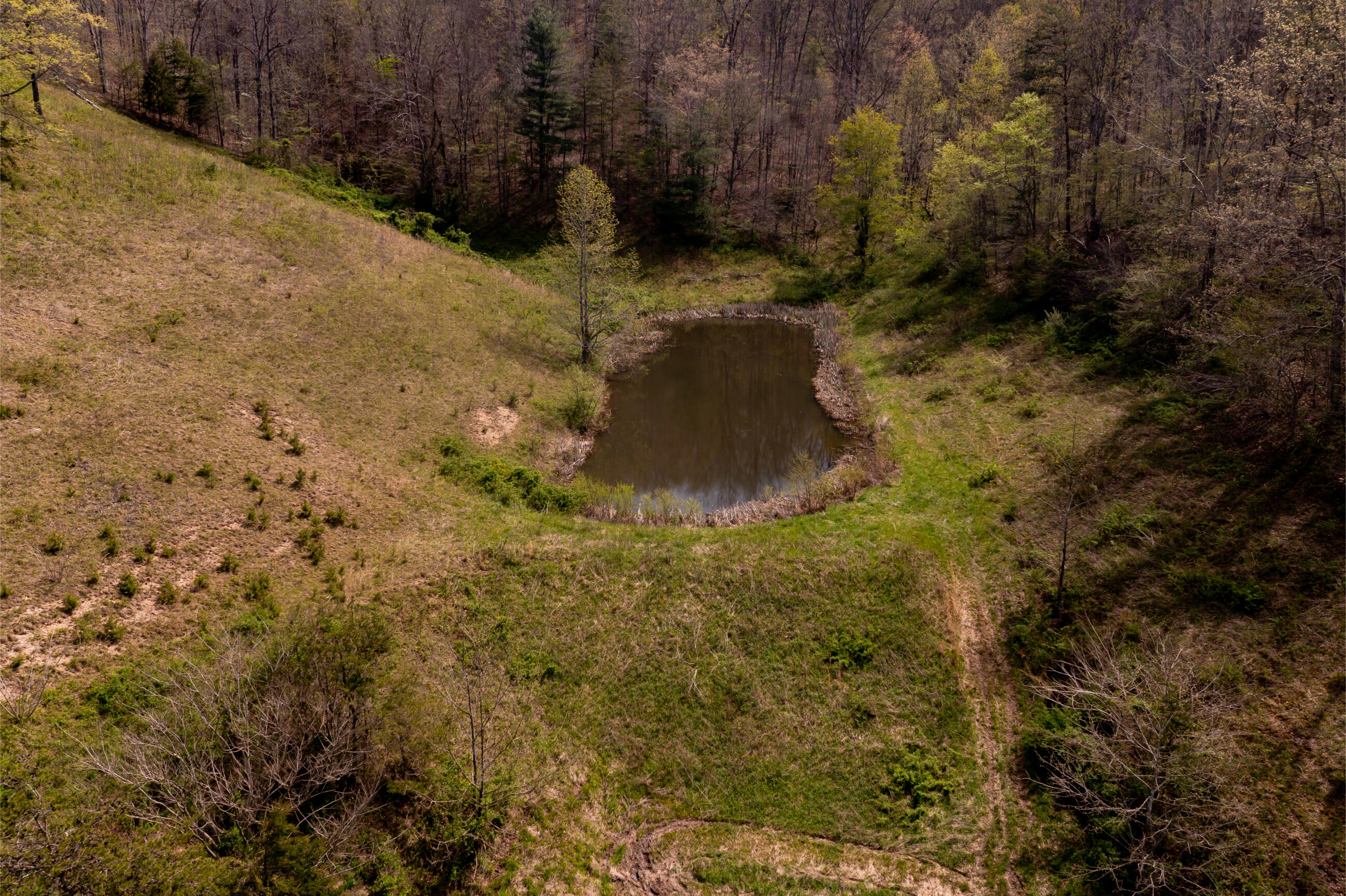 534 Lower Gilmore Road Campton, KY 41301 - Photo 2 of 80 DJI_0845