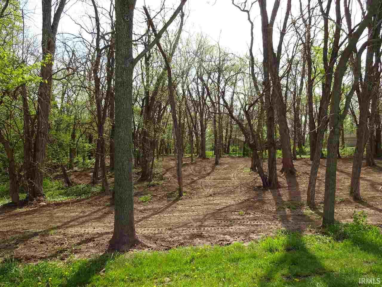 Lot 15 West Bicycle Bridge Road Delphi, IN 46923 - Photo 3 of 6 Gallery Image 3