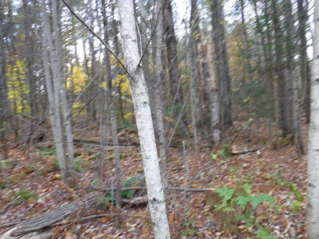 54 Bailey Road Andover, ME 04216 - Photo 2 of 6 Additional Photo