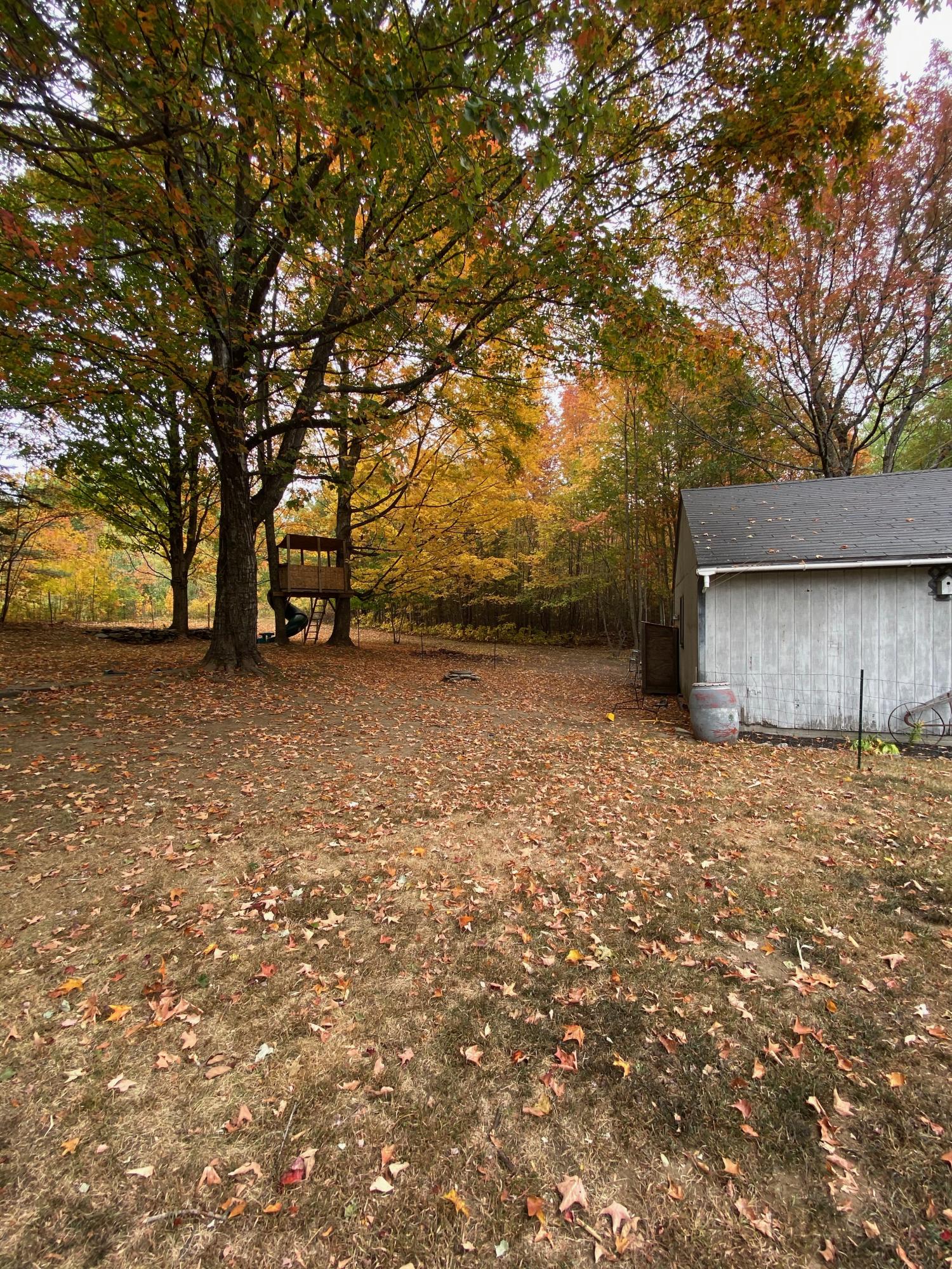 255 Locke Hill Road Starks, ME 04911 - Photo 31 of 41 IMG_9350