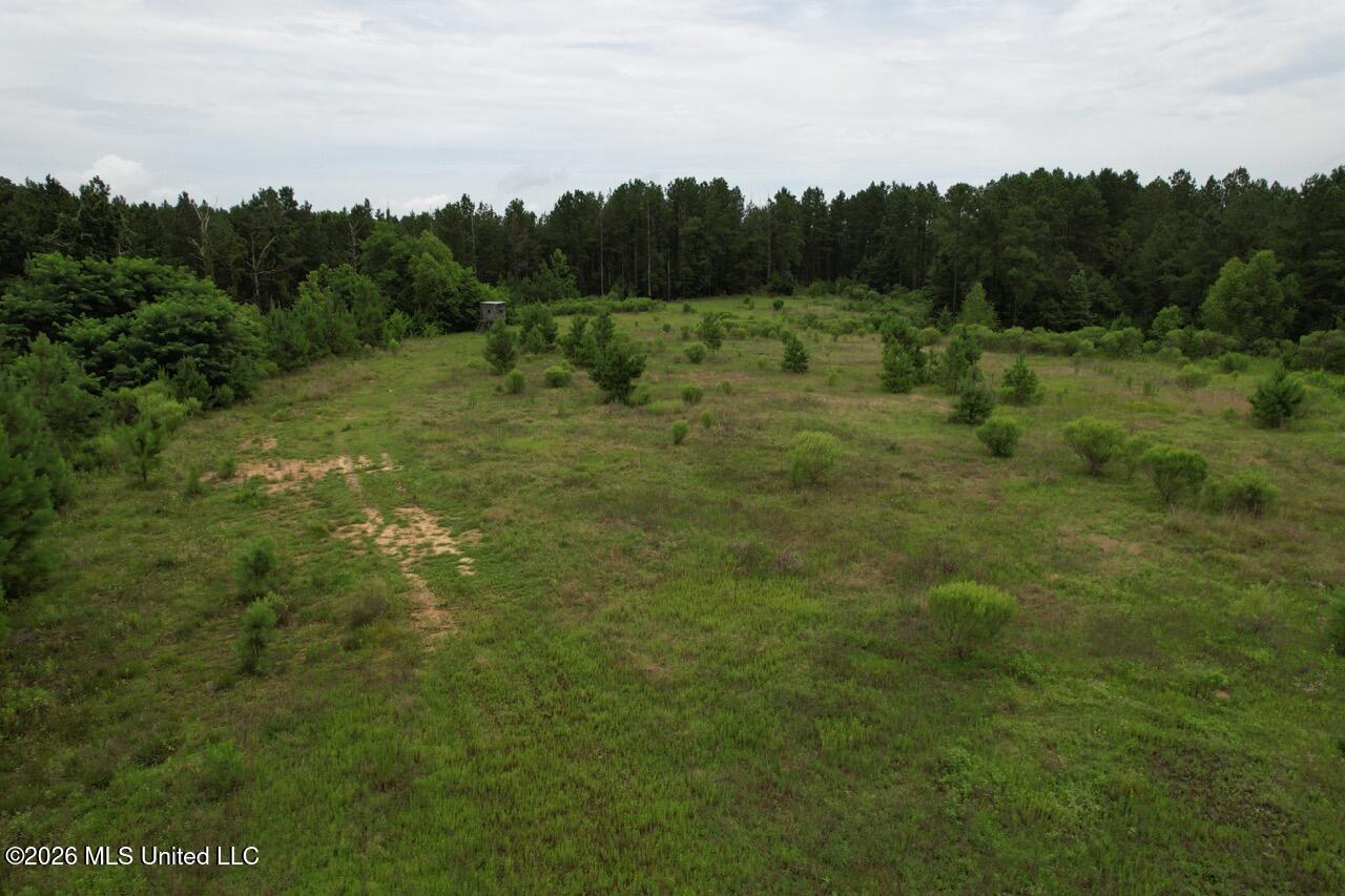 2684 Ms 33 Crosby, MS 39633 - Photo 8 of 18 DJI_0239 Large