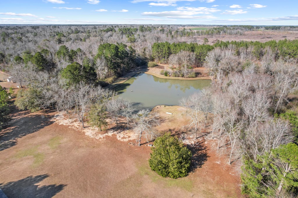 1047 East Smithville Road Dothan, AL 36301 - Photo 35 of 73 Gallery Image 35