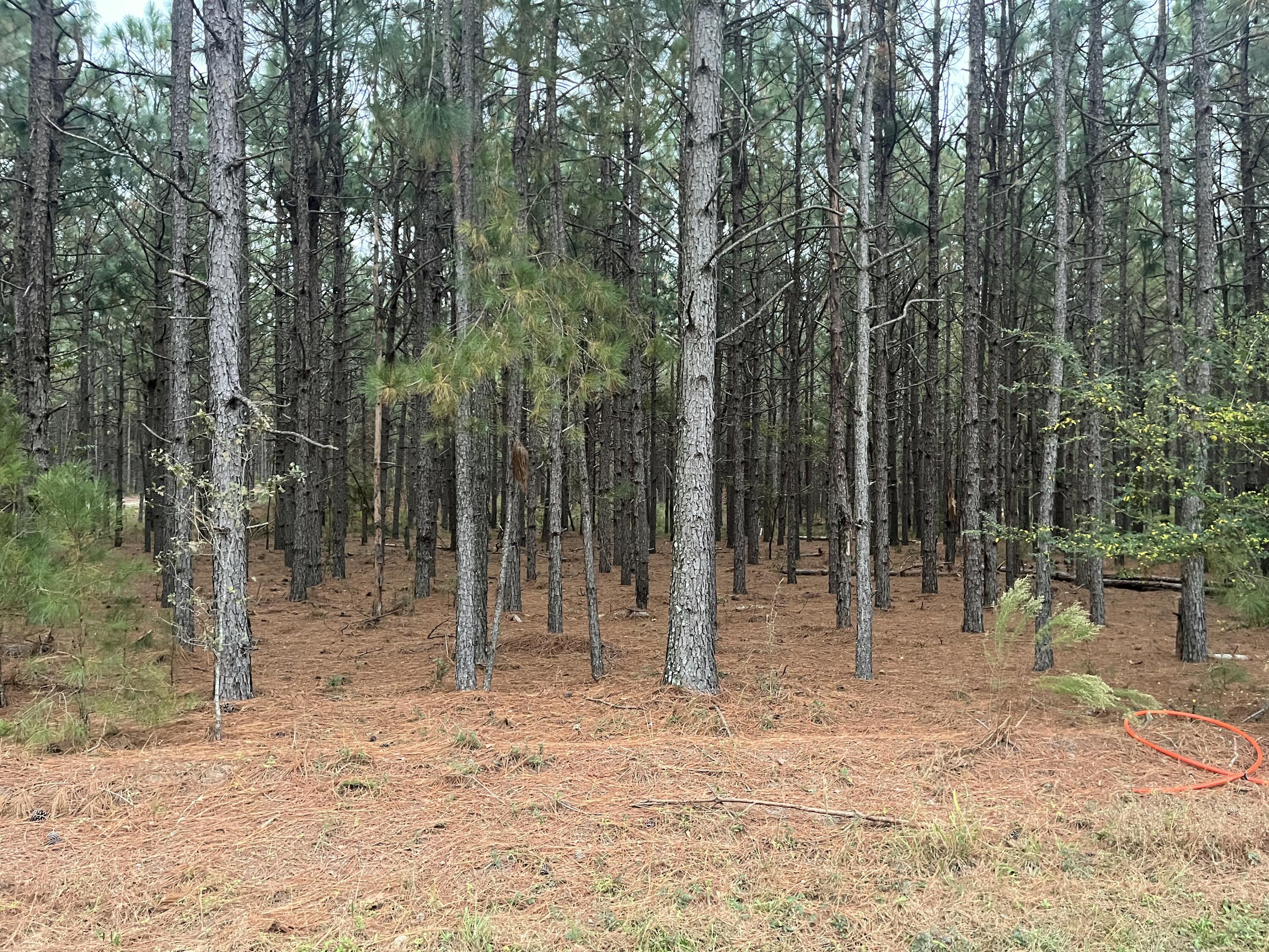1 Wagener Road, Unit DH 1 Wagener, SC 29164 - Photo 8 of 10 IMG_4811