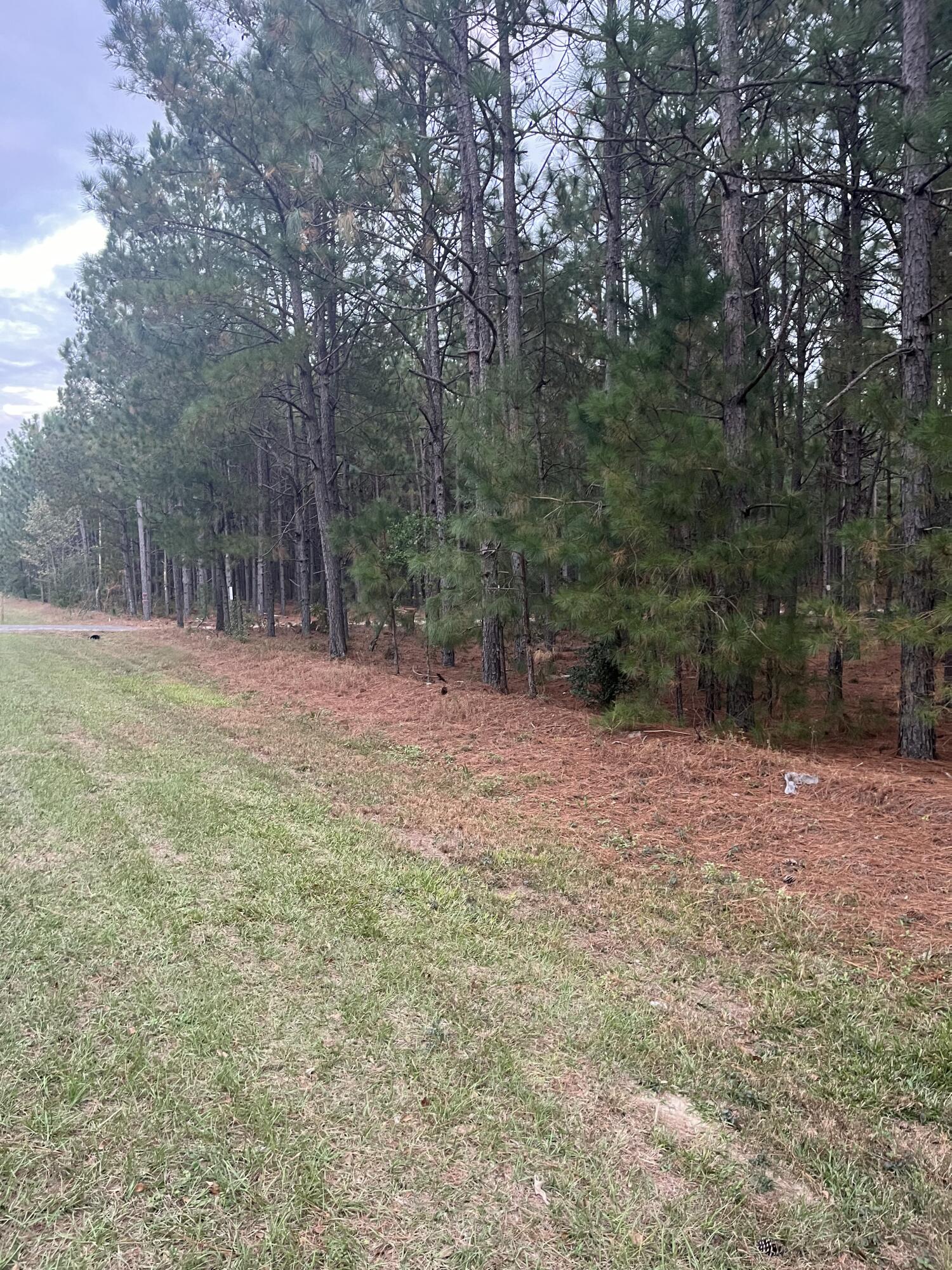 1 Wagener Road, Unit DH 1 Wagener, SC 29164 - Photo 9 of 10 IMG_4812