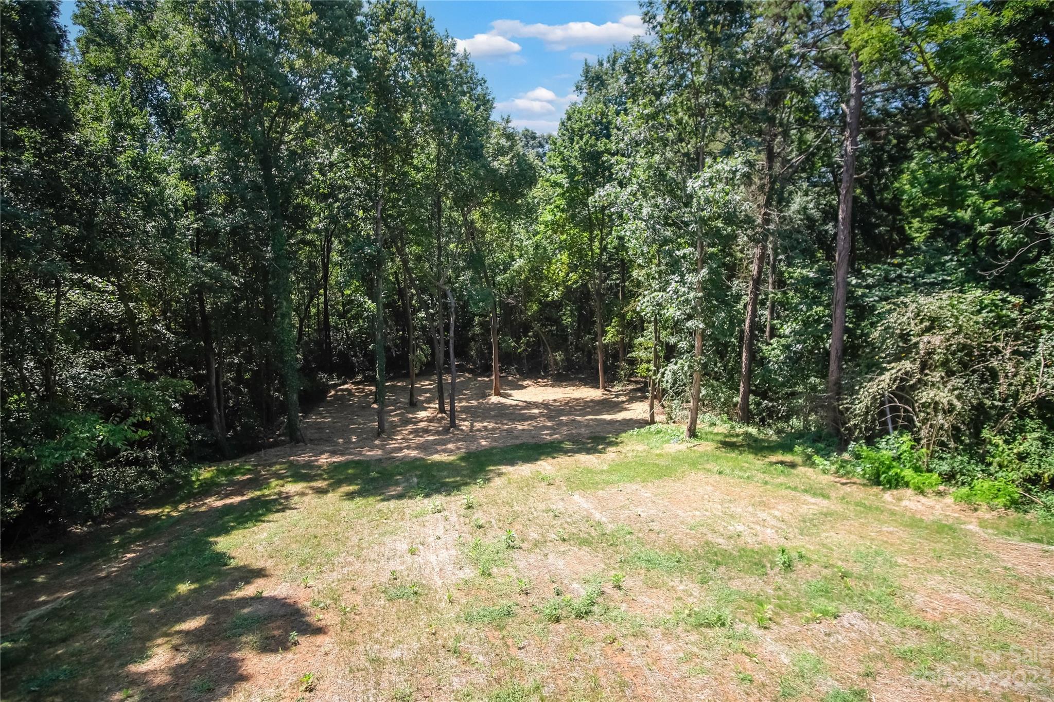 7550 Webbs Road Denver, NC 28037 - Photo 42 of 46 a view of a yard with trees