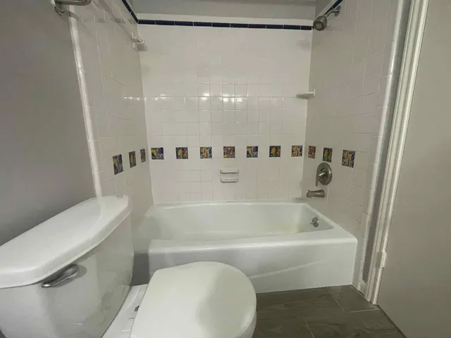 a bathroom with a toilet and a bath tub