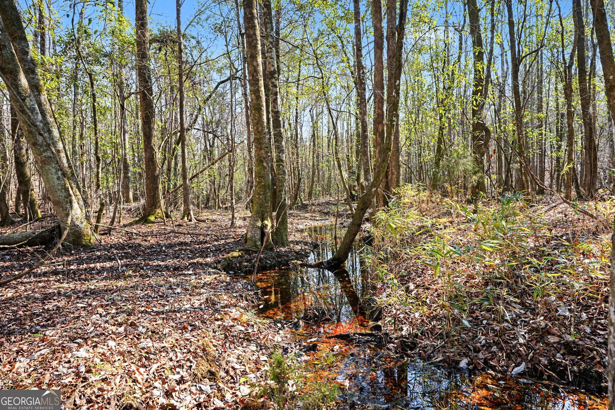 0 Vineyard Road Thomaston, GA 30286 - Photo 10 of 40