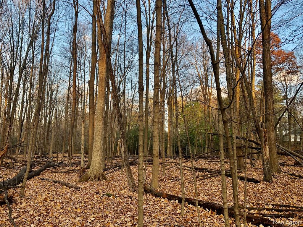 0 East Brocker Road Metamora, MI 48455 - Photo 18 of 25