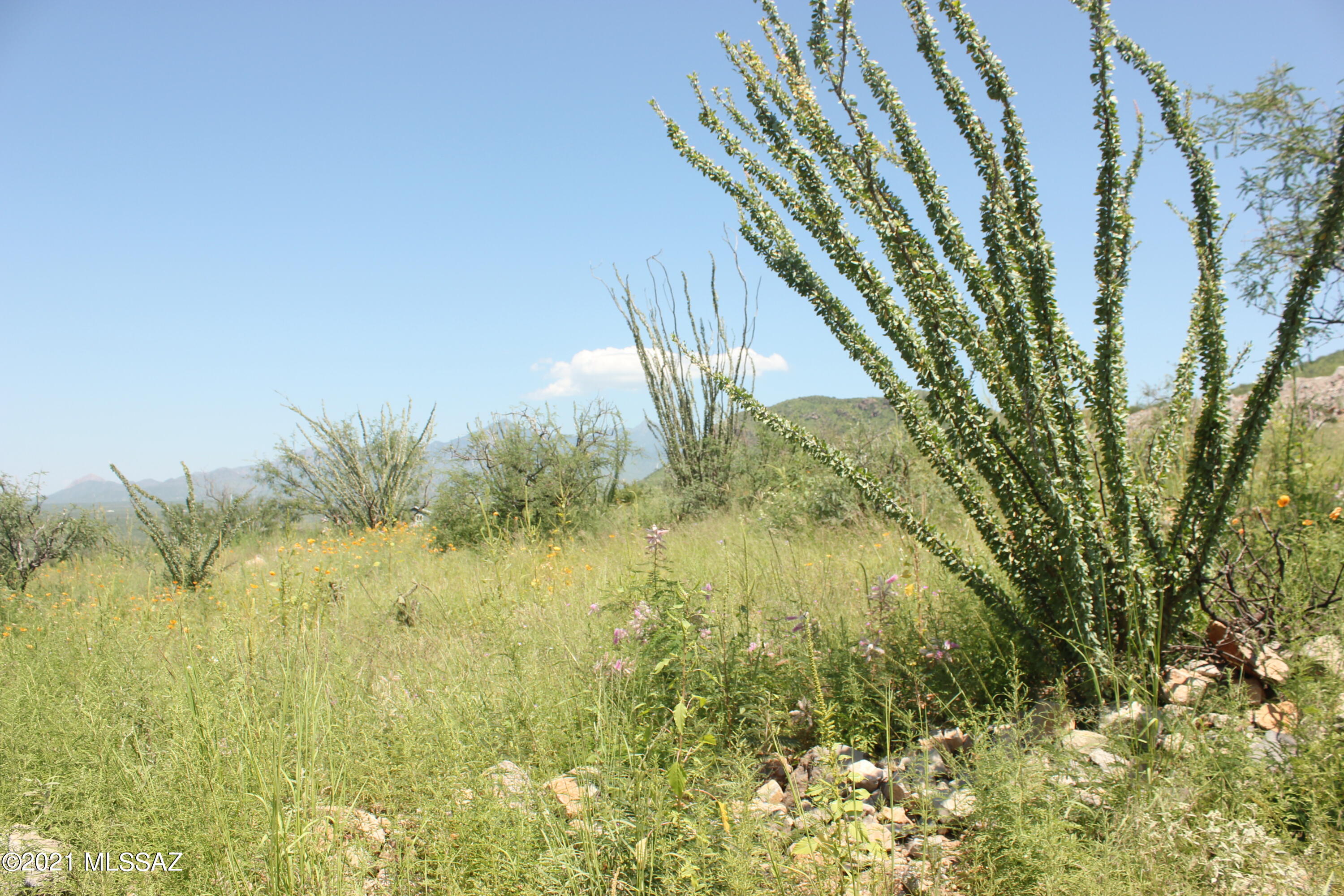346 Dock Street, Unit 150 Rio Rico, AZ 85648 - Photo 1 of 3