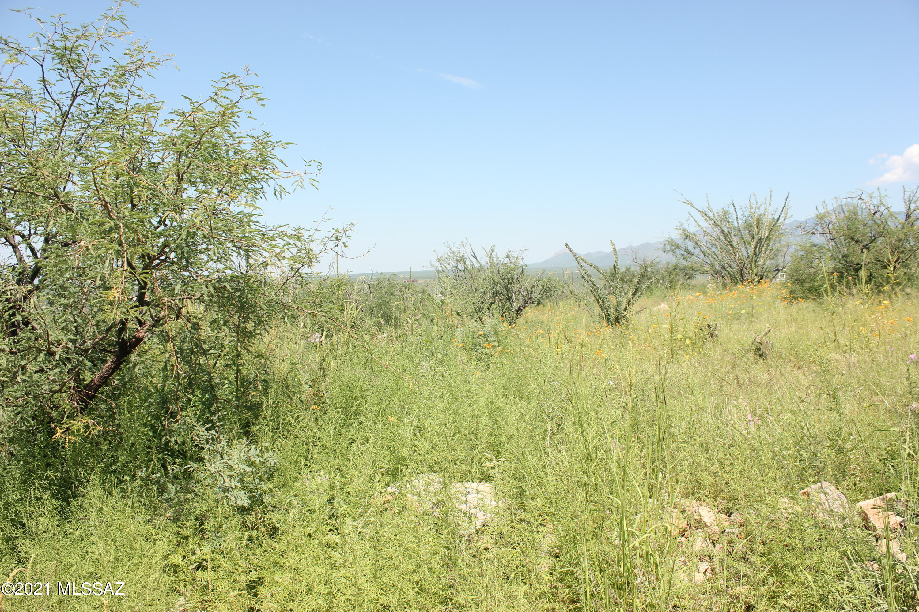 346 Dock Street, Unit 150 Rio Rico, AZ 85648 - Photo 2 of 3
