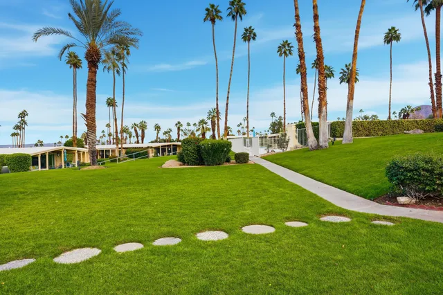 a view of a garden with a palm tree and a fountain