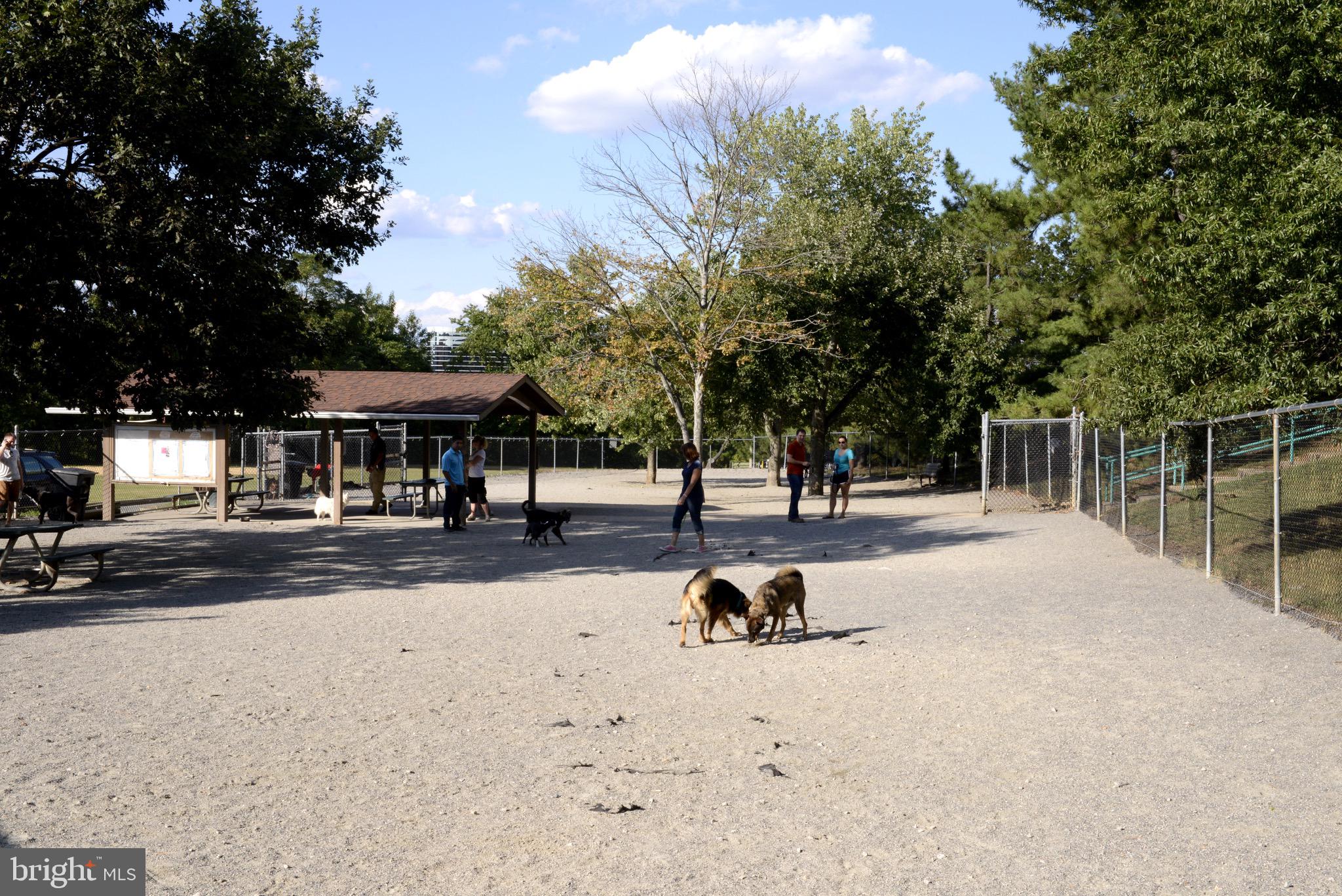 4205 32nd Road South Arlington, VA 22206 - Photo 36 of 40 DOG PARK