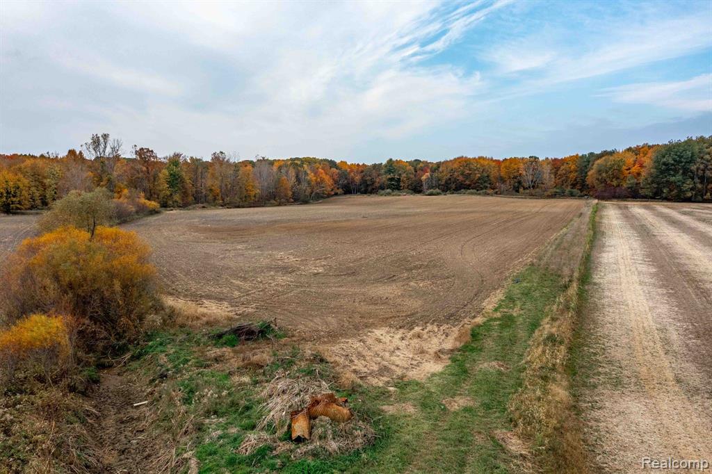 0 Wood Road Marlette, MI 48453 - Photo 18 of 20