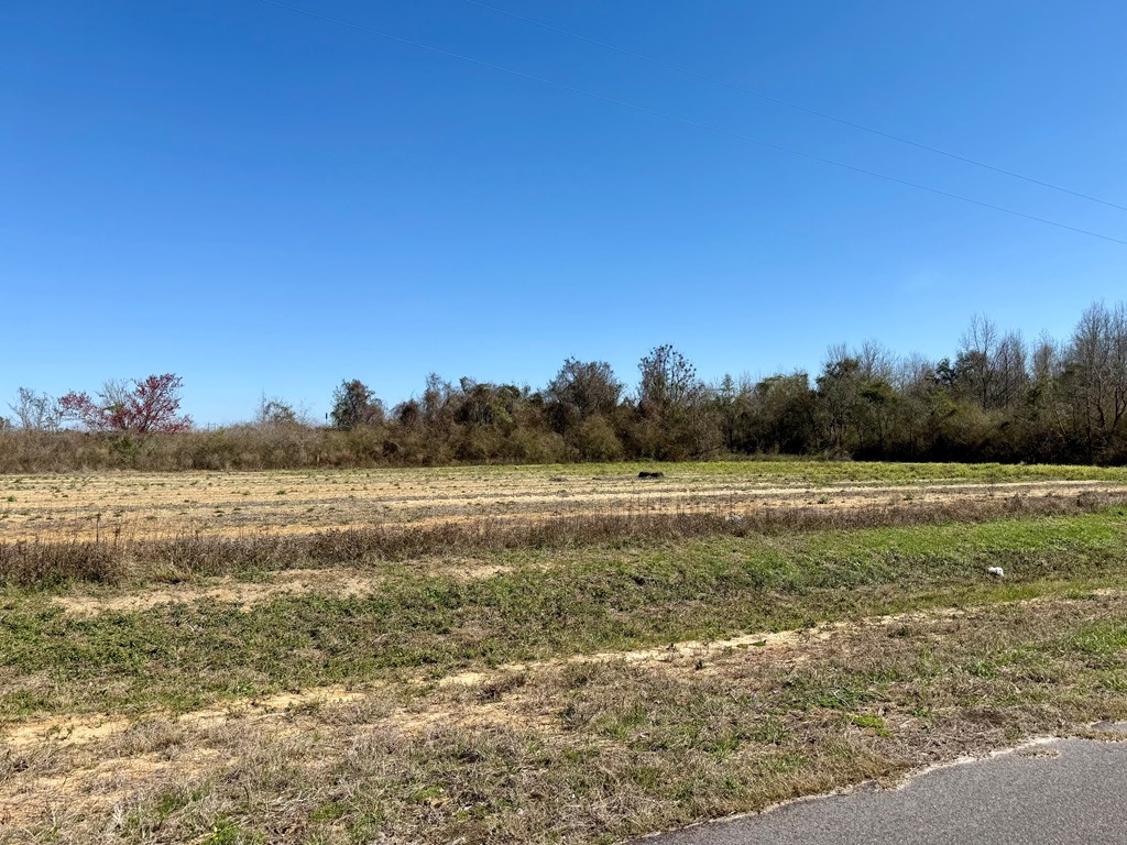 2.5-acres Garrett Road Ashford, AL 36312 - Photo 9 of 9
