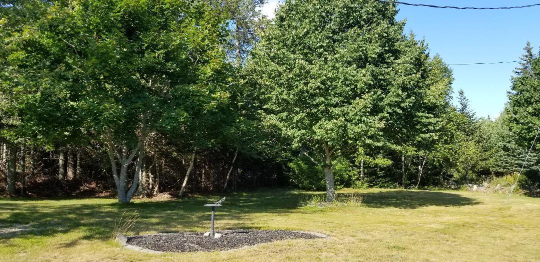 545 Naskeag Point Road Brooklin, ME 04616 - Photo 9 of 36 thor10