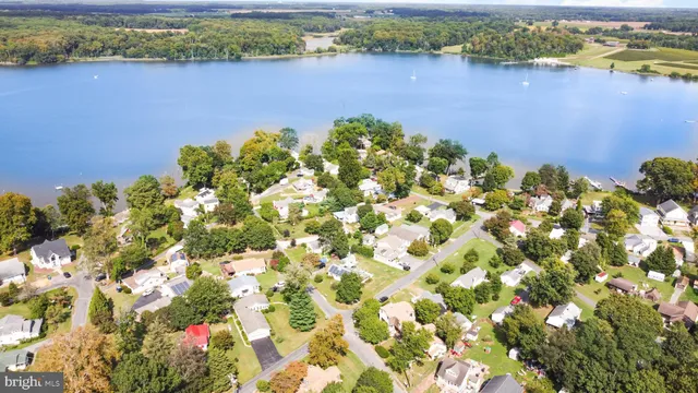 a picture of flowers