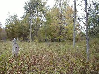 6622 North Tuttle Road Free Soil, MI 49411 - Photo 12 of 13 Additional Photo