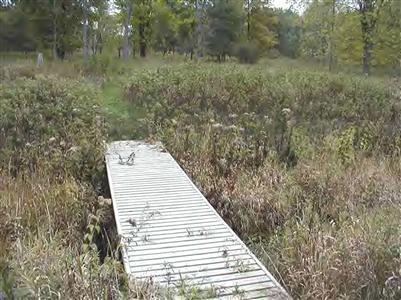 6622 North Tuttle Road Free Soil, MI 49411 - Photo 3 of 13 Additional Photo