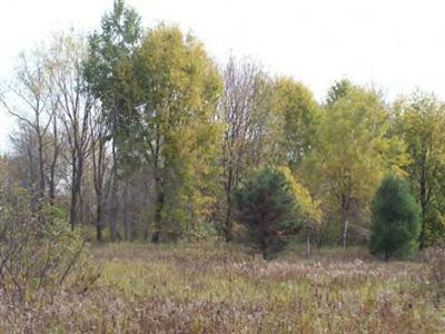6622 North Tuttle Road Free Soil, MI 49411 - Photo 5 of 13 Additional Photo