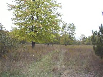 6622 North Tuttle Road Free Soil, MI 49411 - Photo 7 of 13 Additional Photo