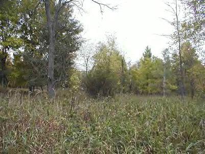 6622 North Tuttle Road Free Soil, MI 49411 - Photo 8 of 13 Additional Photo