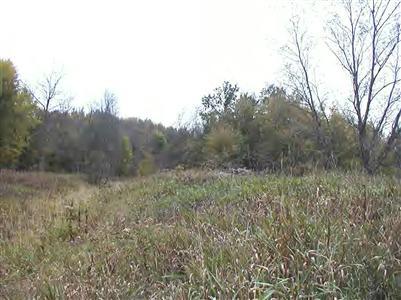 6622 North Tuttle Road Free Soil, MI 49411 - Photo 9 of 13 Additional Photo