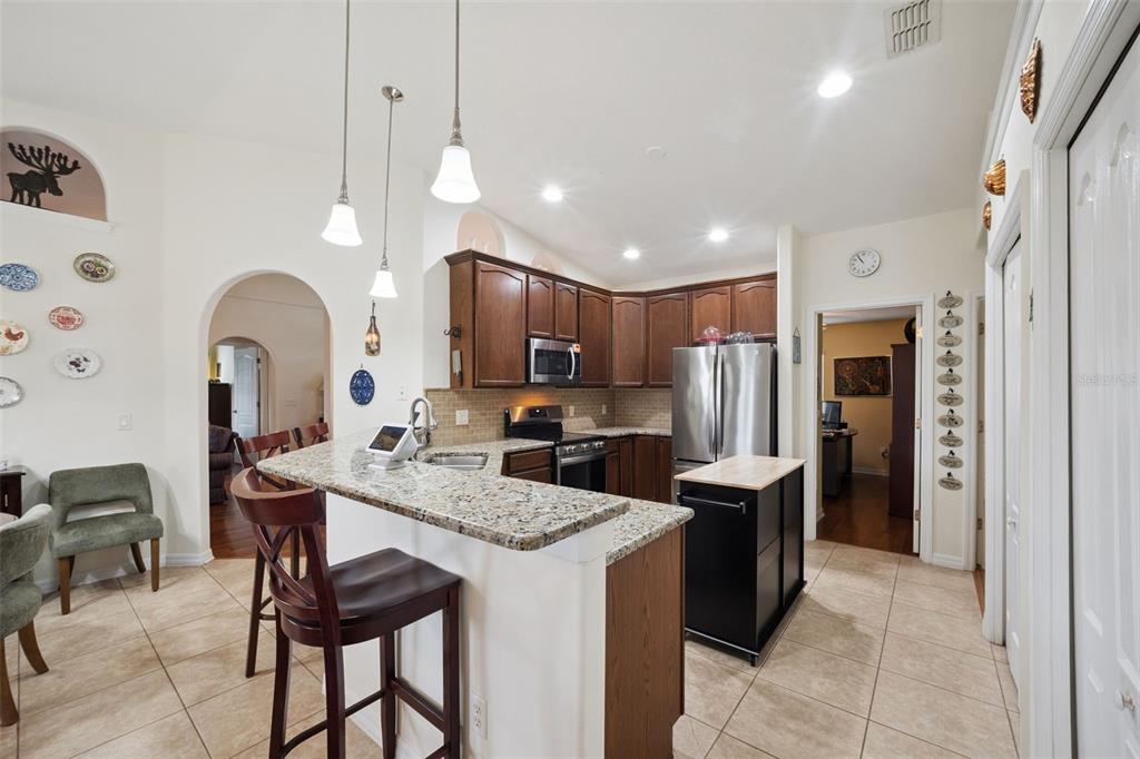 2243 Wolf Ridge Lane Mount Dora, FL 32757 - Photo 23 of 57