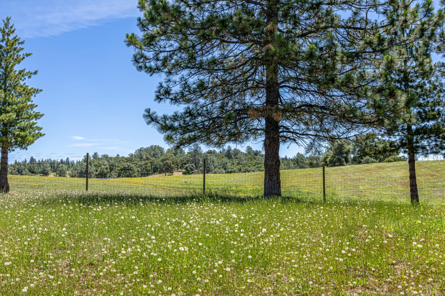 6821 Mosquito Road Placerville, CA 95667 - Photo 57 of 78