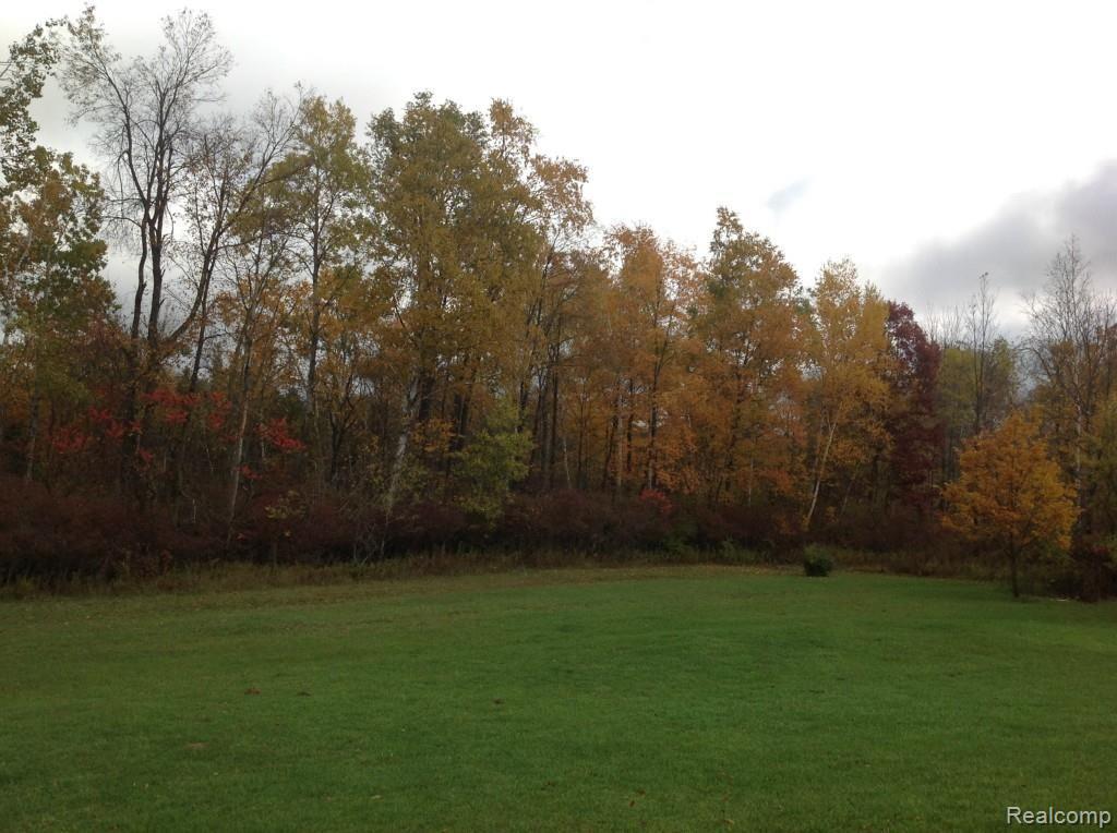 6147 Willis Road North Branch, MI 48461 - Photo 39 of 41 IMG_1078.jpg
