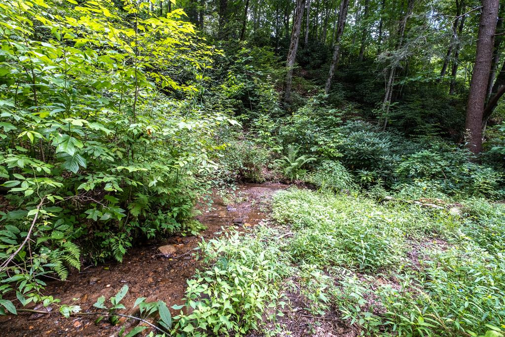 1670 Morgan Creek Road Marble, NC 28905 - Photo 49 of 75