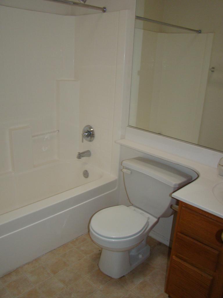 10512 West Coronado Road Avondale, AZ 85392 - Photo 7 of 12 FULL BATHROOM
