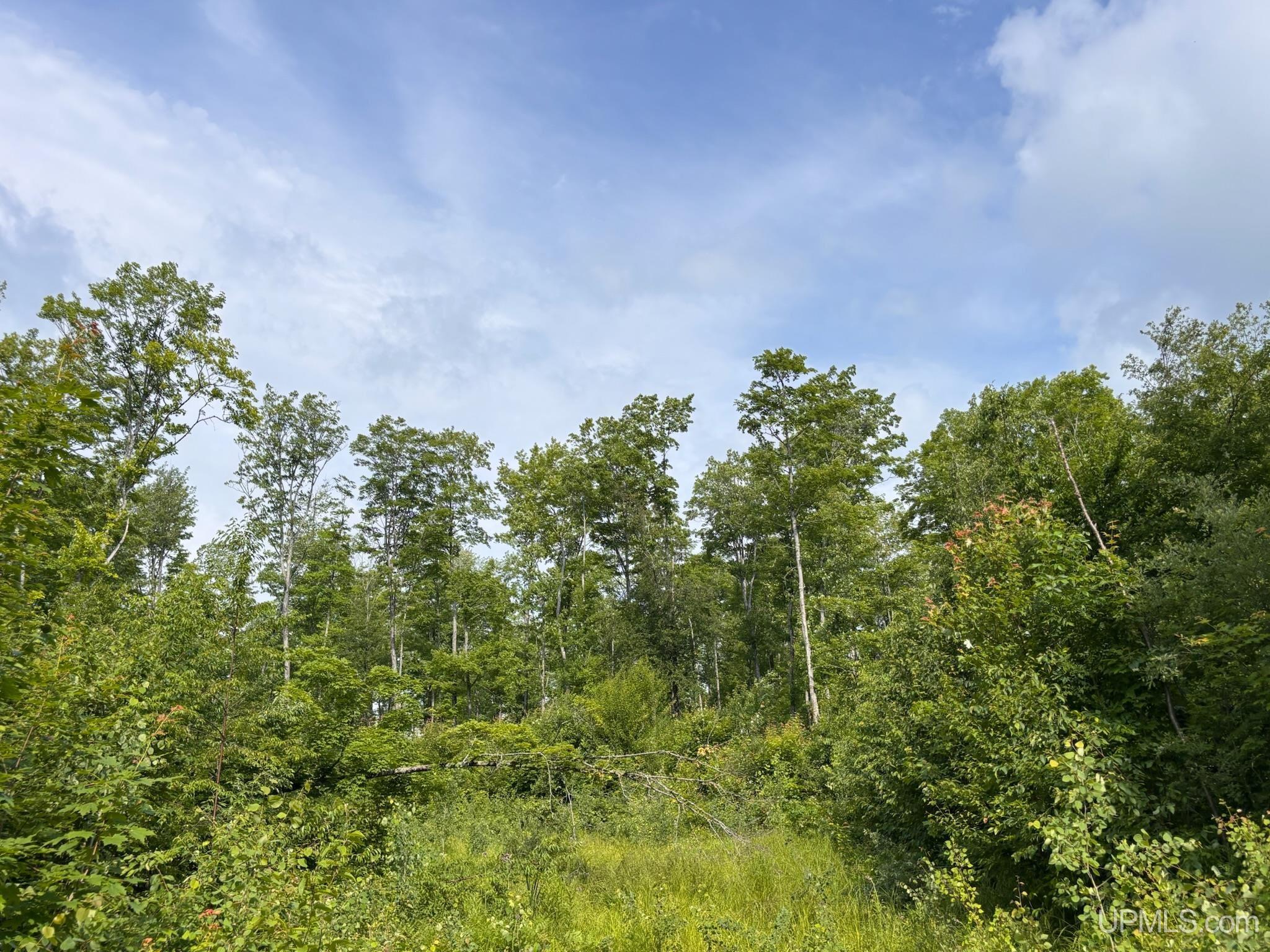Tbd Beartown Road Baraga, MI 49908 - Photo 13 of 36 Gallery Image 13