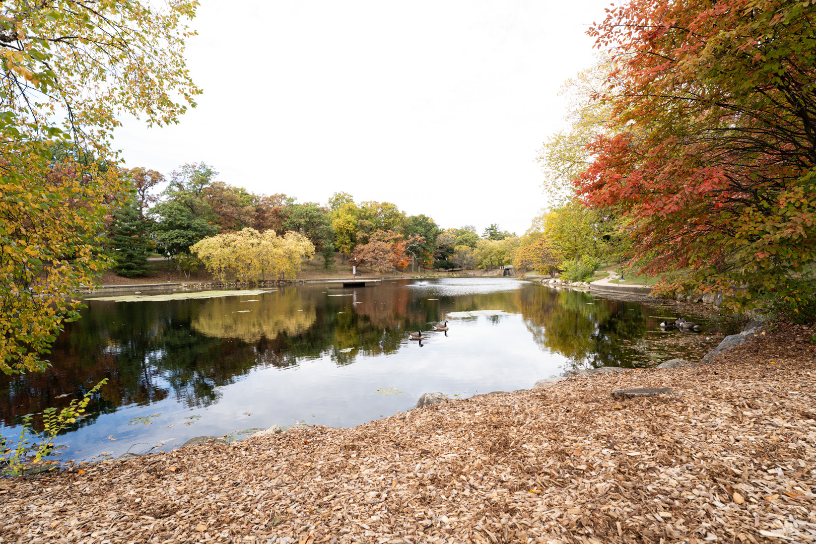 774 Terrace Court, Unit T Elgin, IL 60120 - Photo 24 of 27