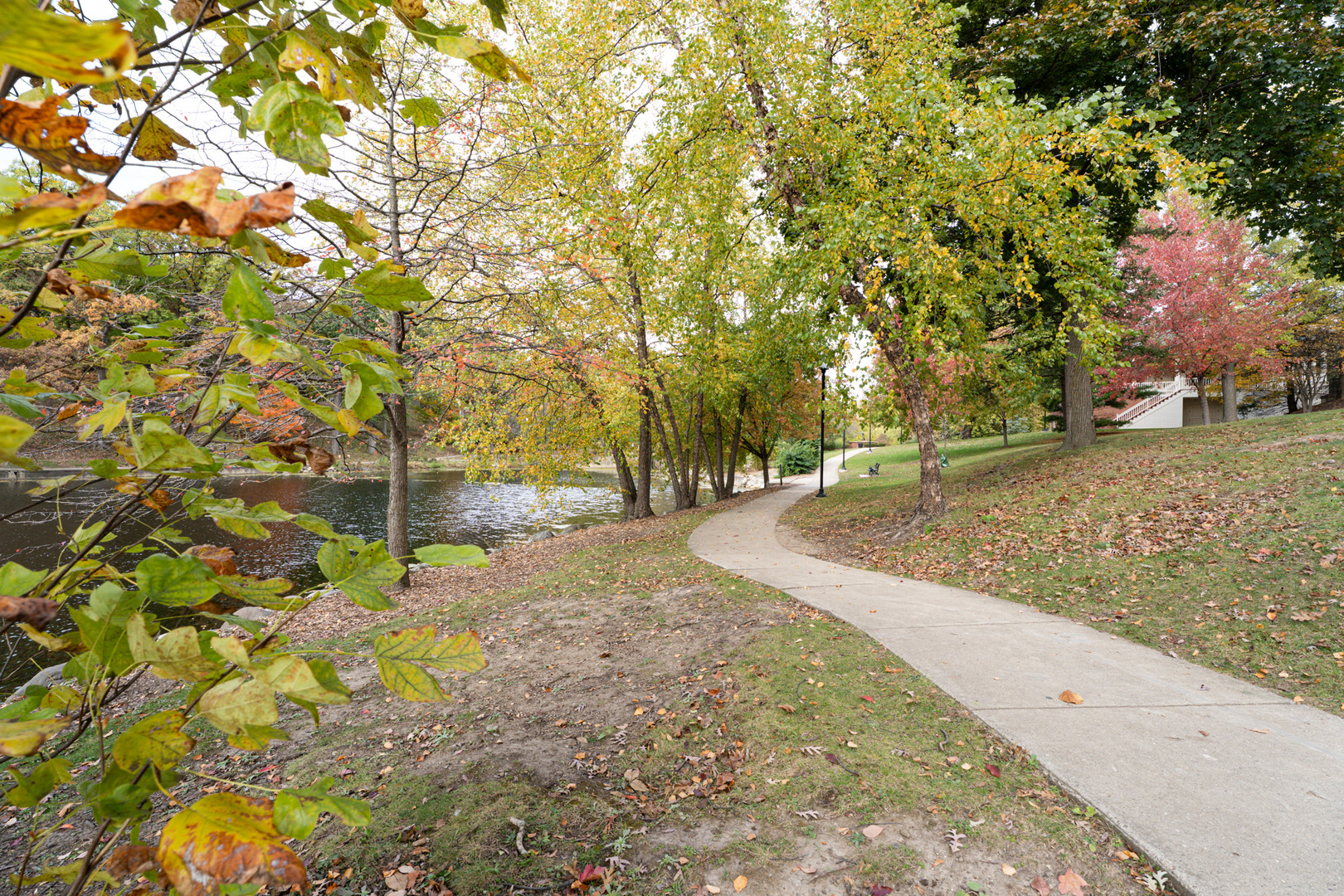 774 Terrace Court, Unit T Elgin, IL 60120 - Photo 25 of 27 a view of a yard with trees