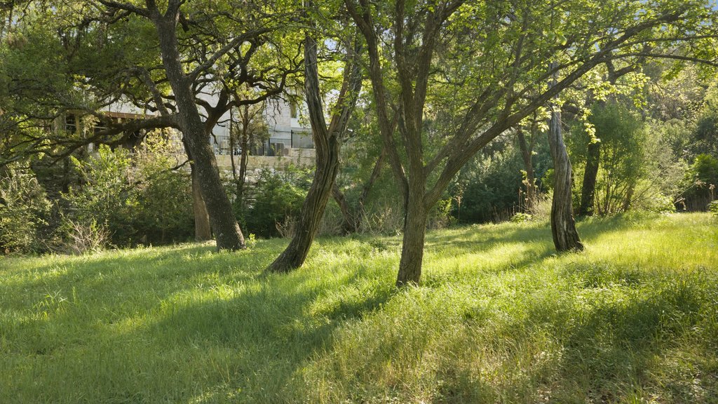 4707 Peace Pipe Path Austin, TX 78746 - Photo 38 of 40 a view of swimming pool with a yard