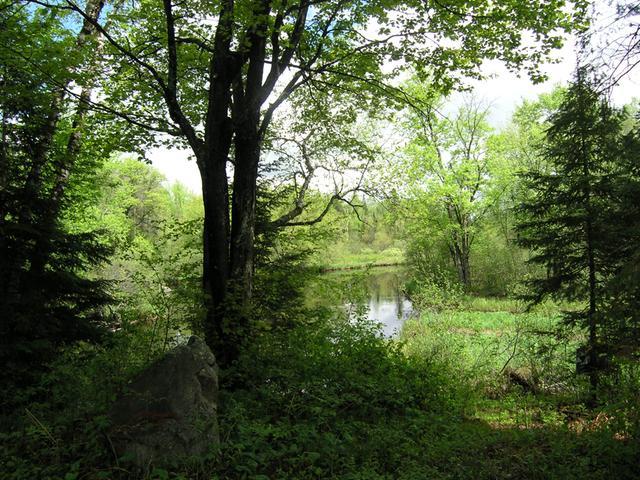 2546 Ryan Rpds Bluff Rhinelander, WI 54501 - Photo 20 of 20 Gallery Image 20