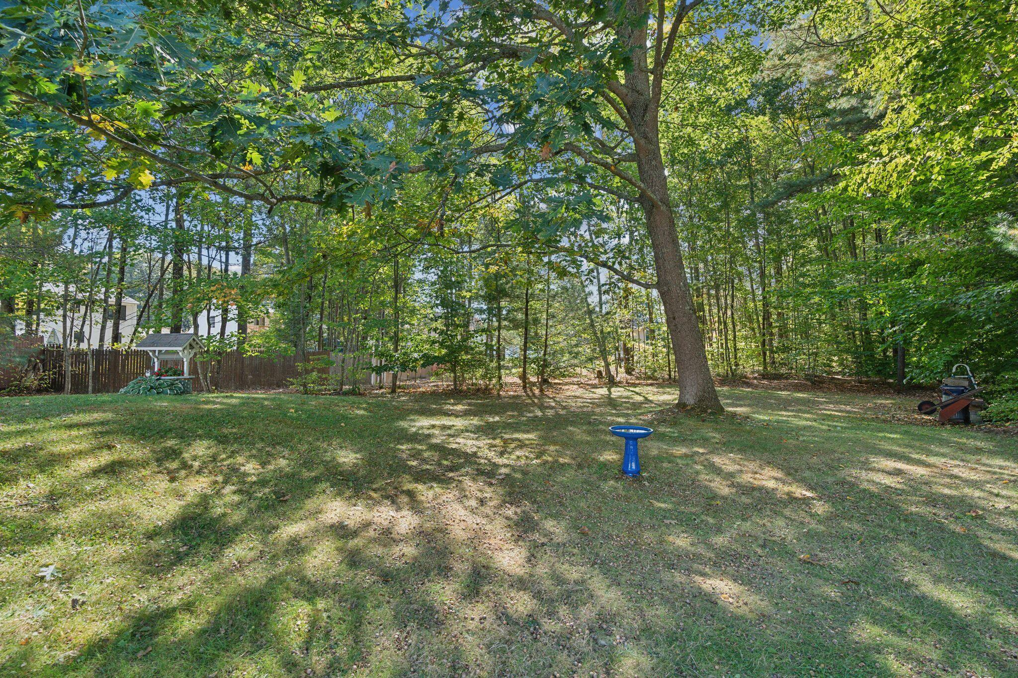 54 Shadagee Road Saco, ME 04072 - Photo 33 of 49 Backyard