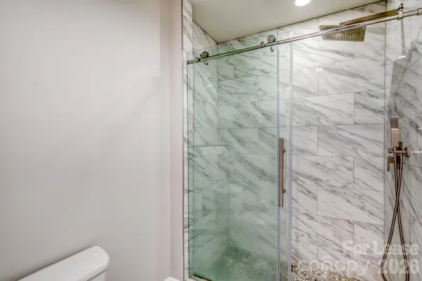 a bathroom with a shower and a toilet