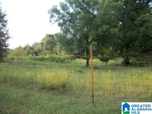 1131 Co Road Marbury, AL 36051 - Photo 10 of 13