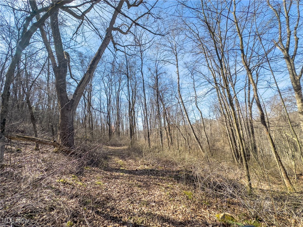 0 Bower Road Scio, OH 43988 - Photo 41 of 42 View of landscape featuring a view of trees