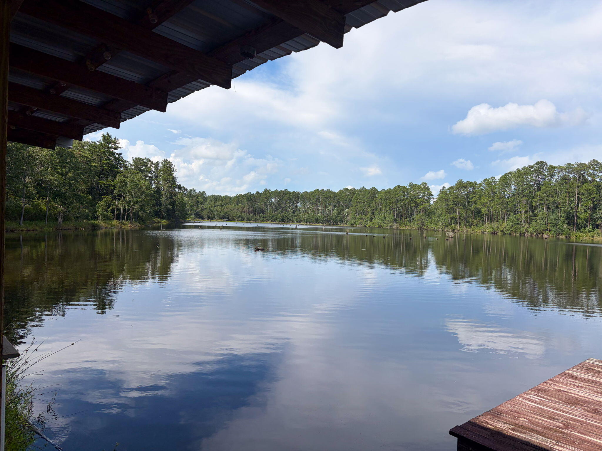 82 Acres 4 Flags Road Laurel Hill, FL 32567 - Photo 5 of 45 31-web-or-mls-IMG_1831