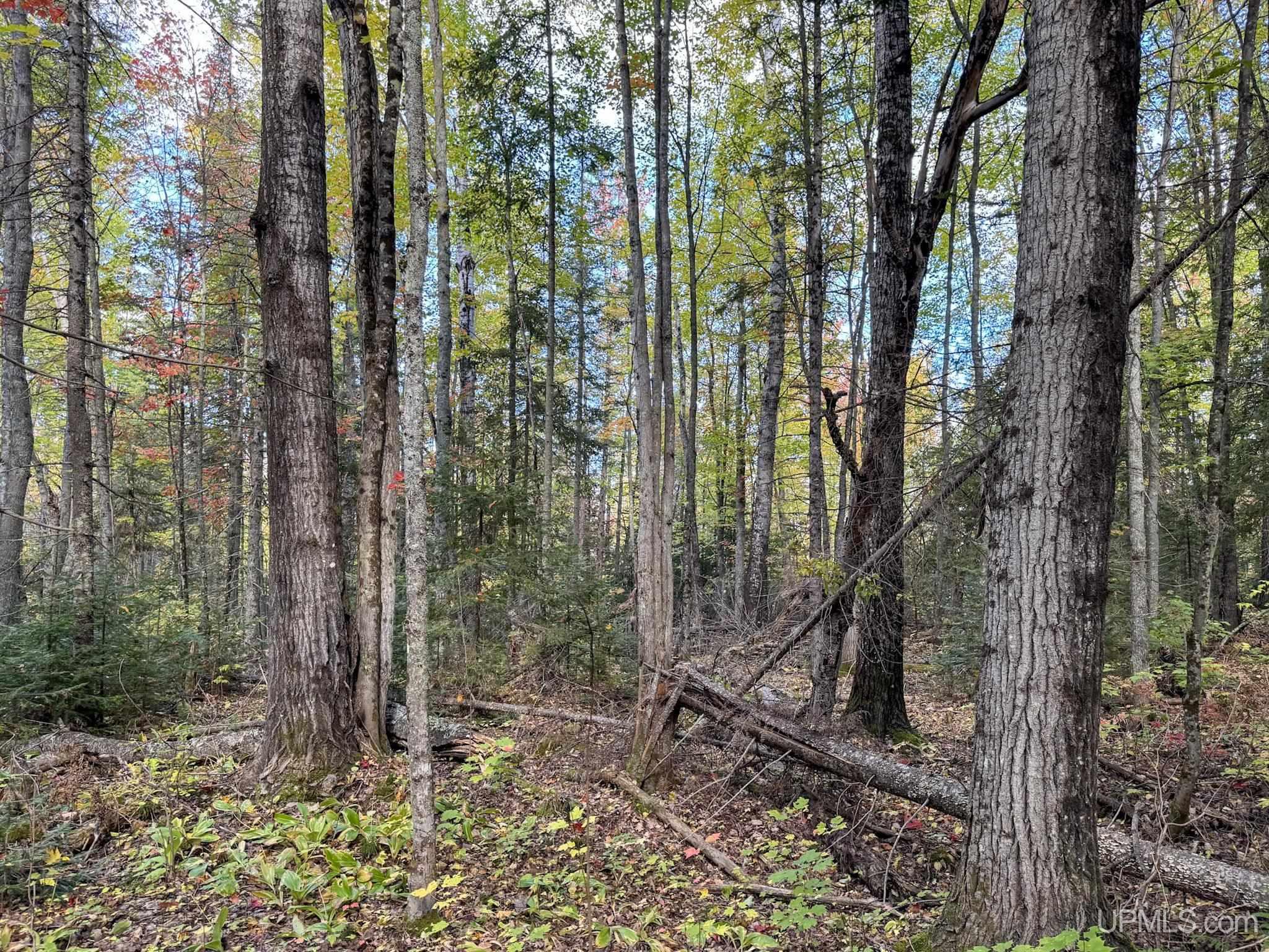 Tbd Off Orchard Road Lake Linden, MI 49945 - Photo 20 of 27 Gallery Image 20