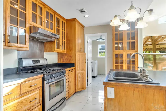 a view of a tree in the middle of a forest